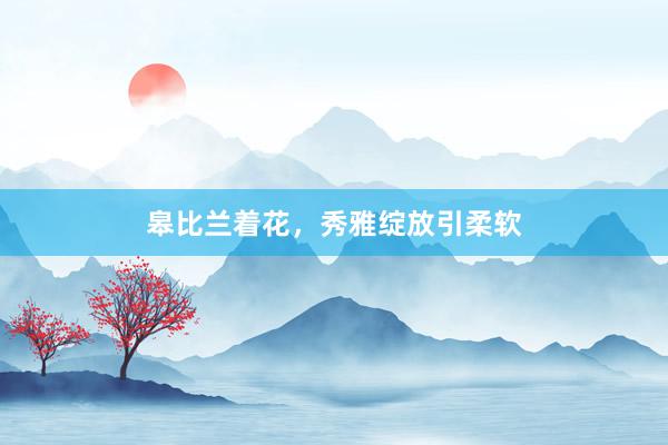 皋比兰着花，秀雅绽放引柔软