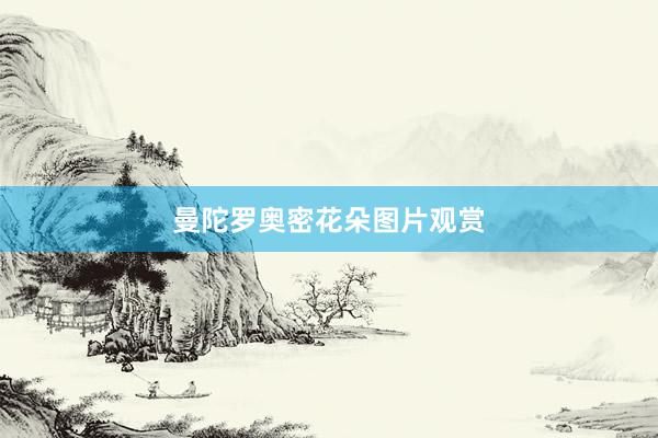 曼陀罗奥密花朵图片观赏