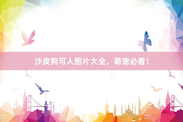 沙皮狗可人图片大全，萌宠必看！
