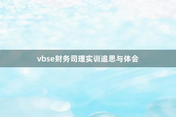 vbse财务司理实训追思与体会
